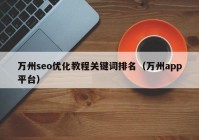 万州seo优化教程关键词排名（万州app平台）
